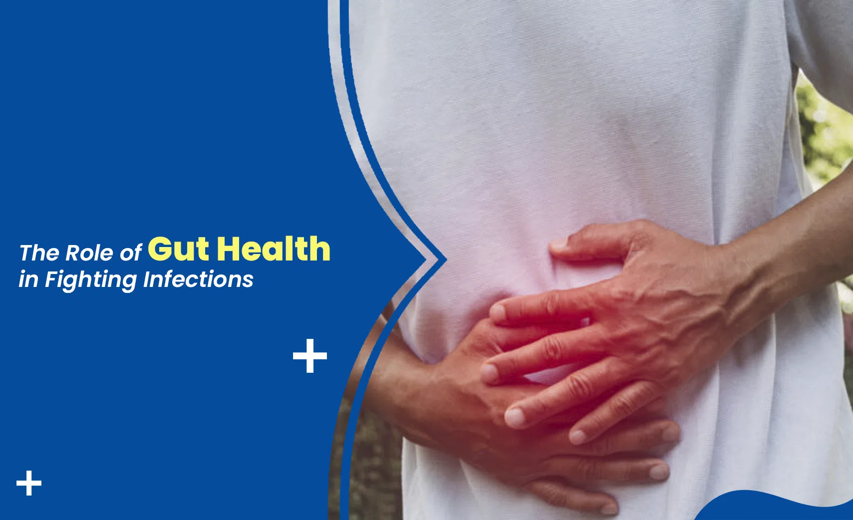 Gut health and immune system connection shown by person holding stomach with highlighted pain area