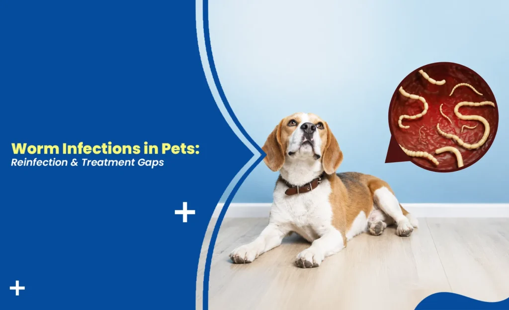 Dog with worm infection graphic.
