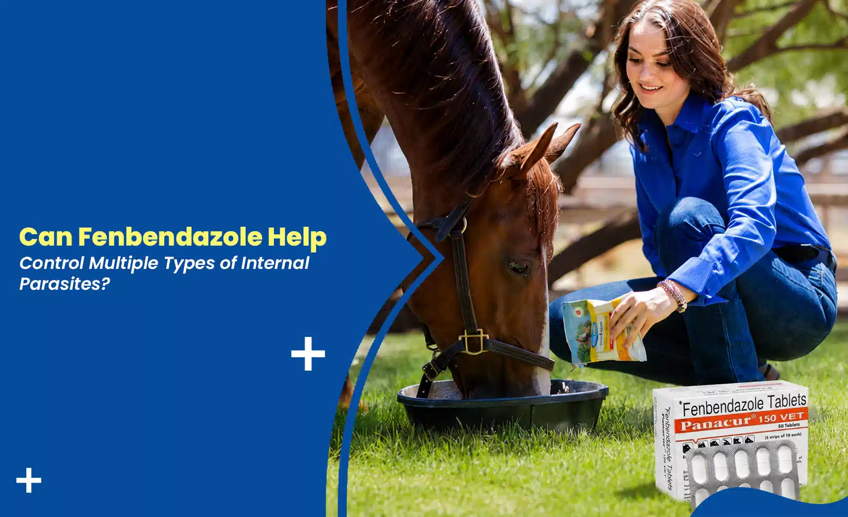 fenbendazole parasite treatment