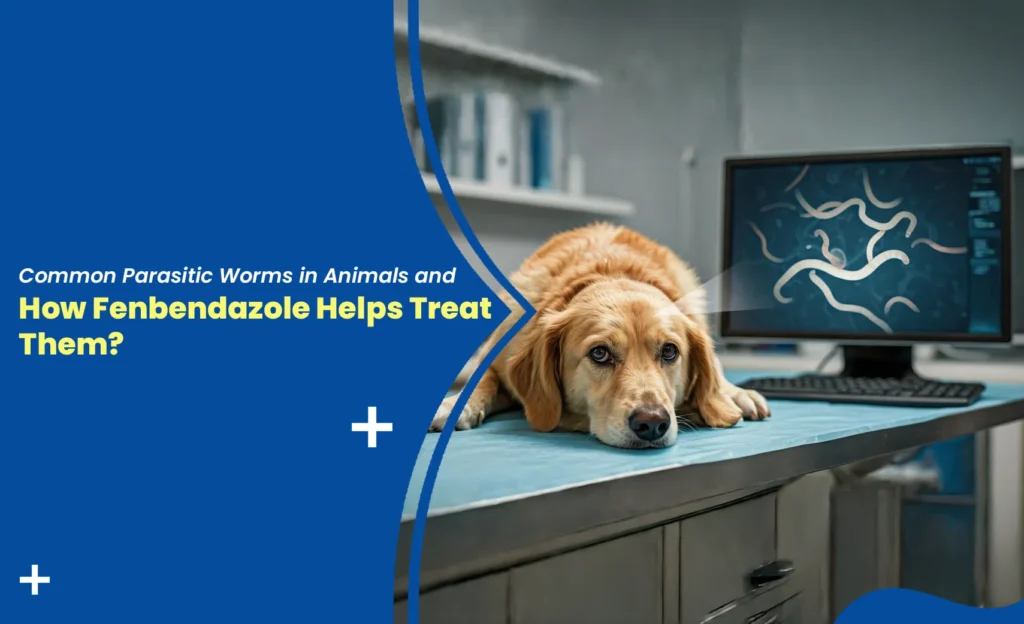 Dog with parasitic worm infection at a veterinary clinic showing how fenbendazole helps treat intestinal worms in animals