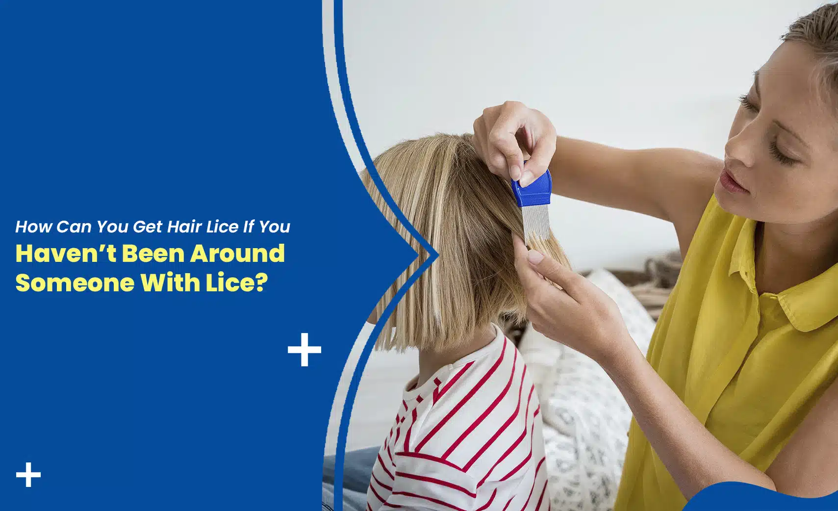Hair lice removal with a fine-tooth comb